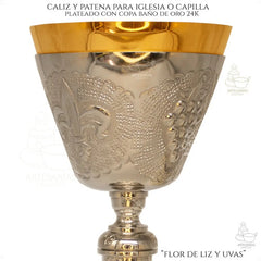 Caliz Y Patena C103